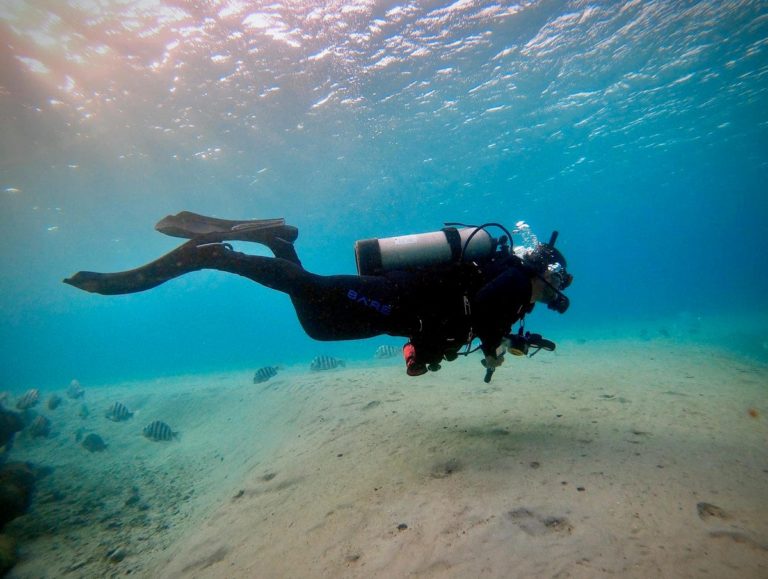 Diver’s Underwater Sculpture Park list