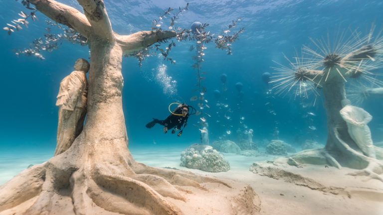 Underwater exhibitions